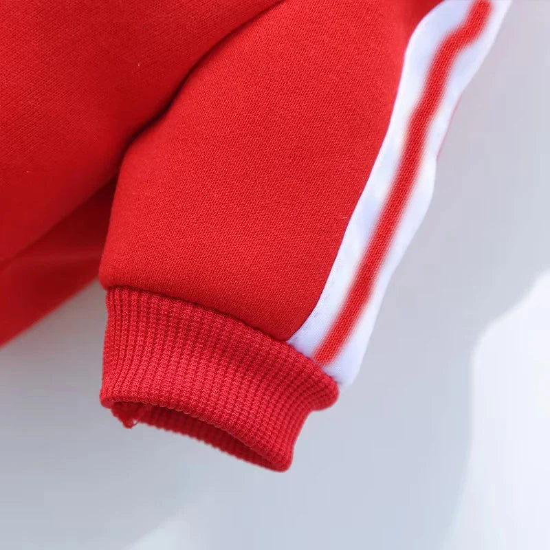 Cool Dog Hoodies: Cozy & Trendy Canine Attire