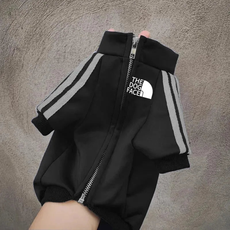 Cool Dog Hoodies: Cozy & Trendy Canine Attire